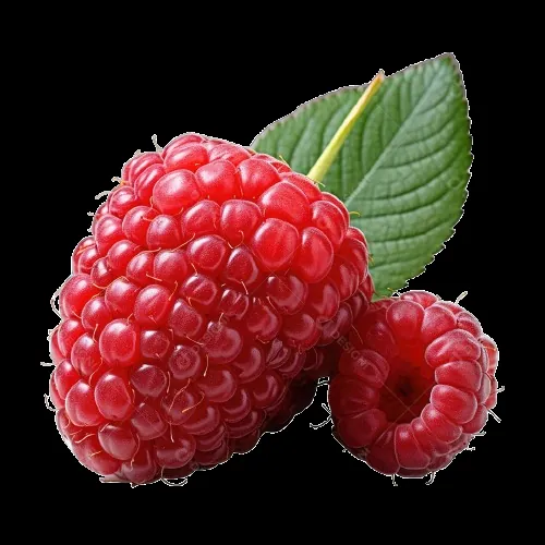 Raspberry Ketones — ingredient in Glycovit